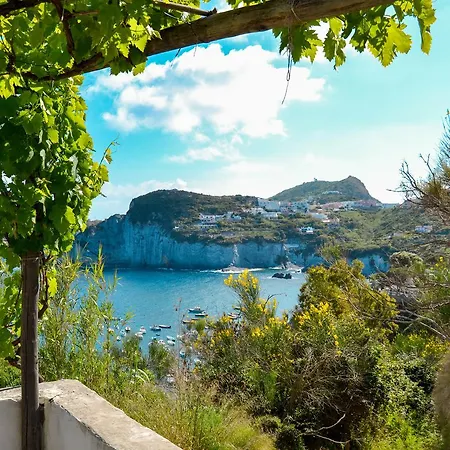 Maridea - Scuncillo *