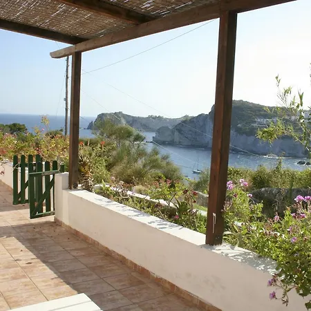 Maridea - Scuncillo Daire *