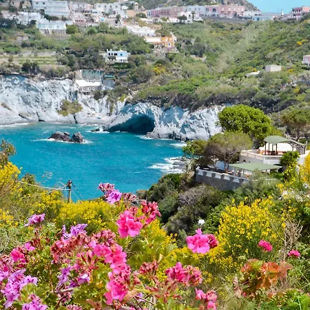 Maridea - Scuncillo Daire