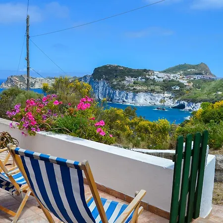 Daire Maridea - Scuncillo *