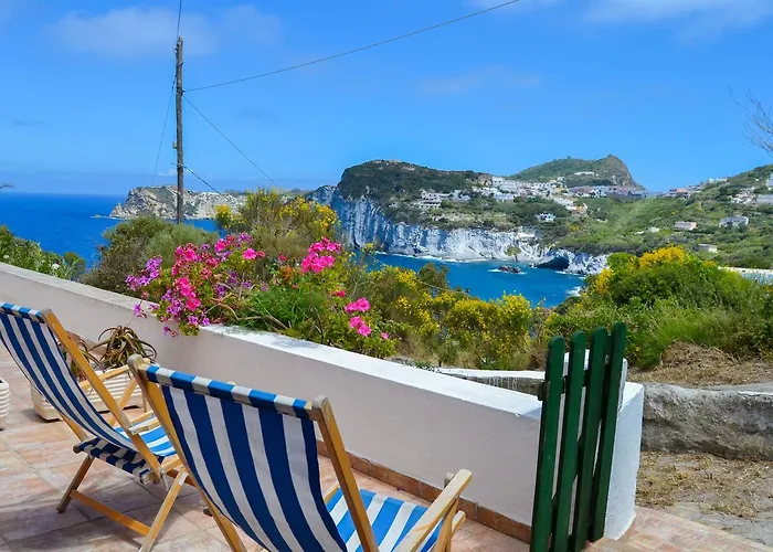 Daire Maridea - Scuncillo *