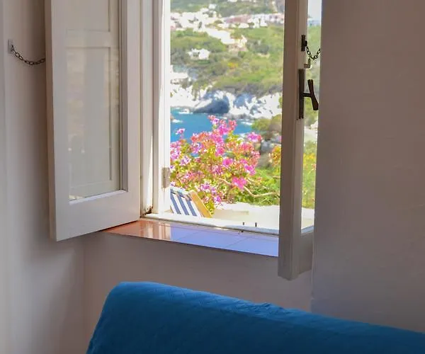 Maridea - Scuncillo Daire Ponza