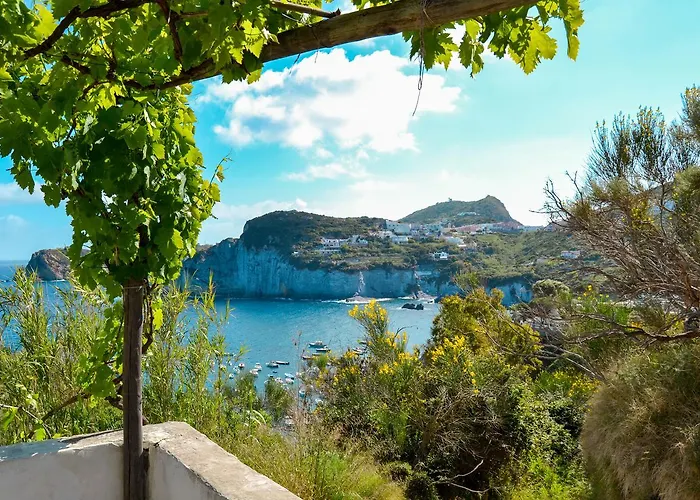 Maridea - Scuncillo *